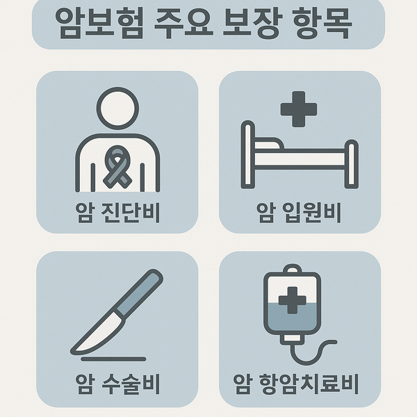 암보험 주요보장항목